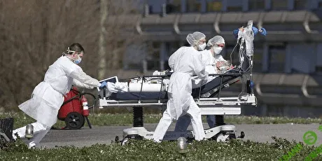 [Елена Шведова] Антивирус: как противостоять коронавирусу и гриппу (2020)