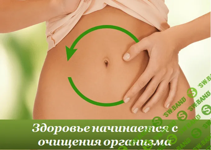 [Елена Шведова] Глубокое очищение организма на 3 уровнях — доказанные методики избавления от прилипающих к Вам заболеваний