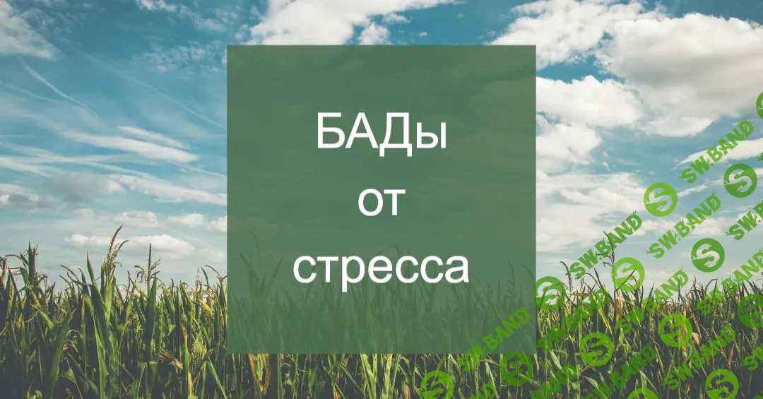 [Елена Суханова] Психокоррекция через нутрицевтики (2024)