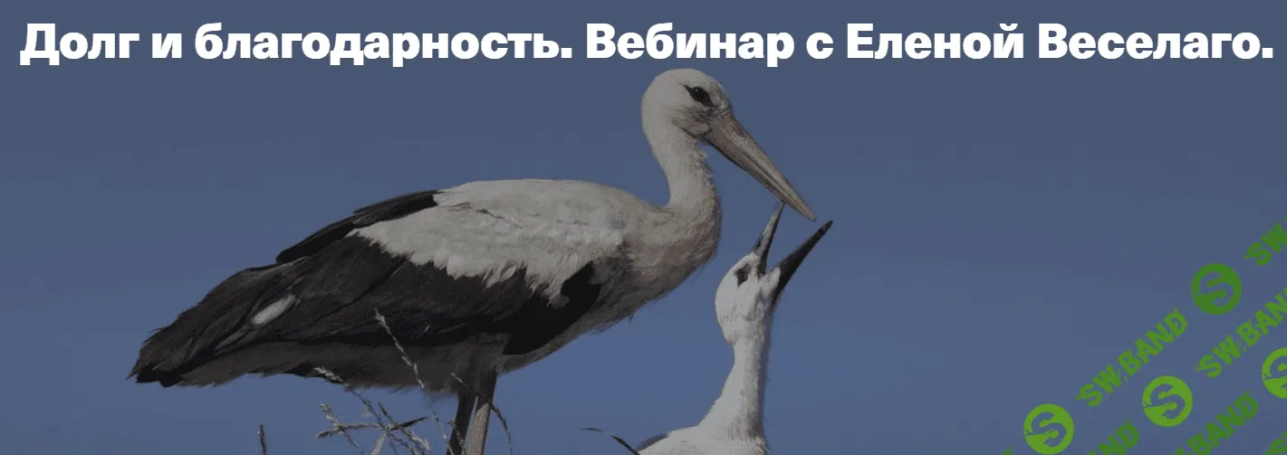 [Елена Веселаго] Долг и благодарность (2020)