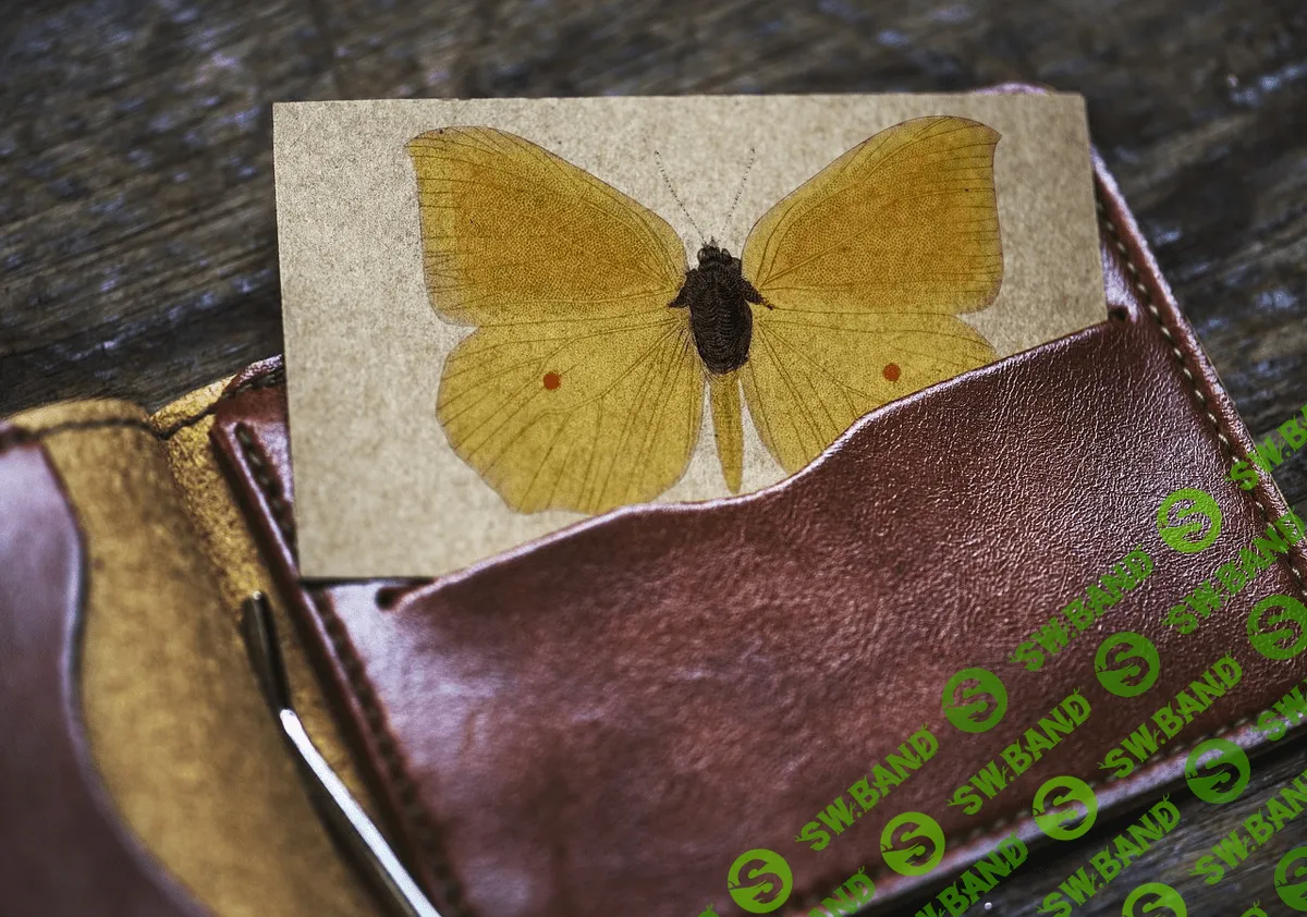 [Елена Веселаго] Настоящее имя (2020)