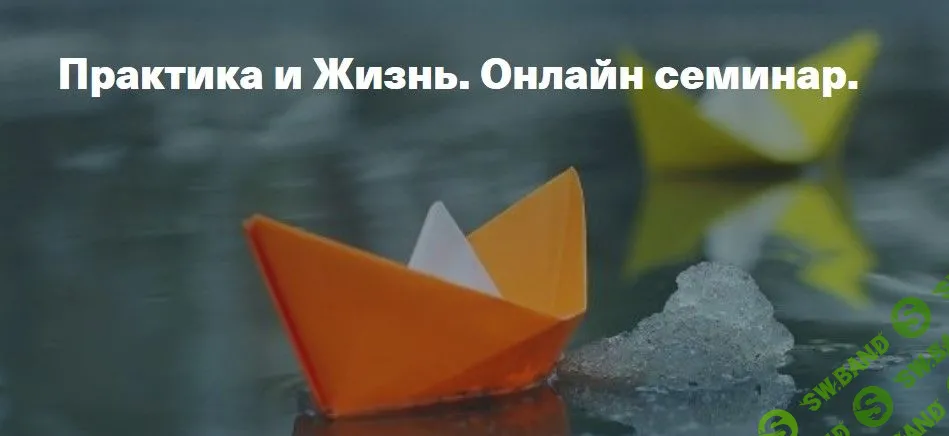 [Елена Веселаго] Практика и жизнь - 2020