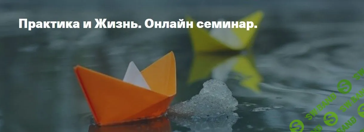 [Елена Веселаго] Практика и жизнь - 2021