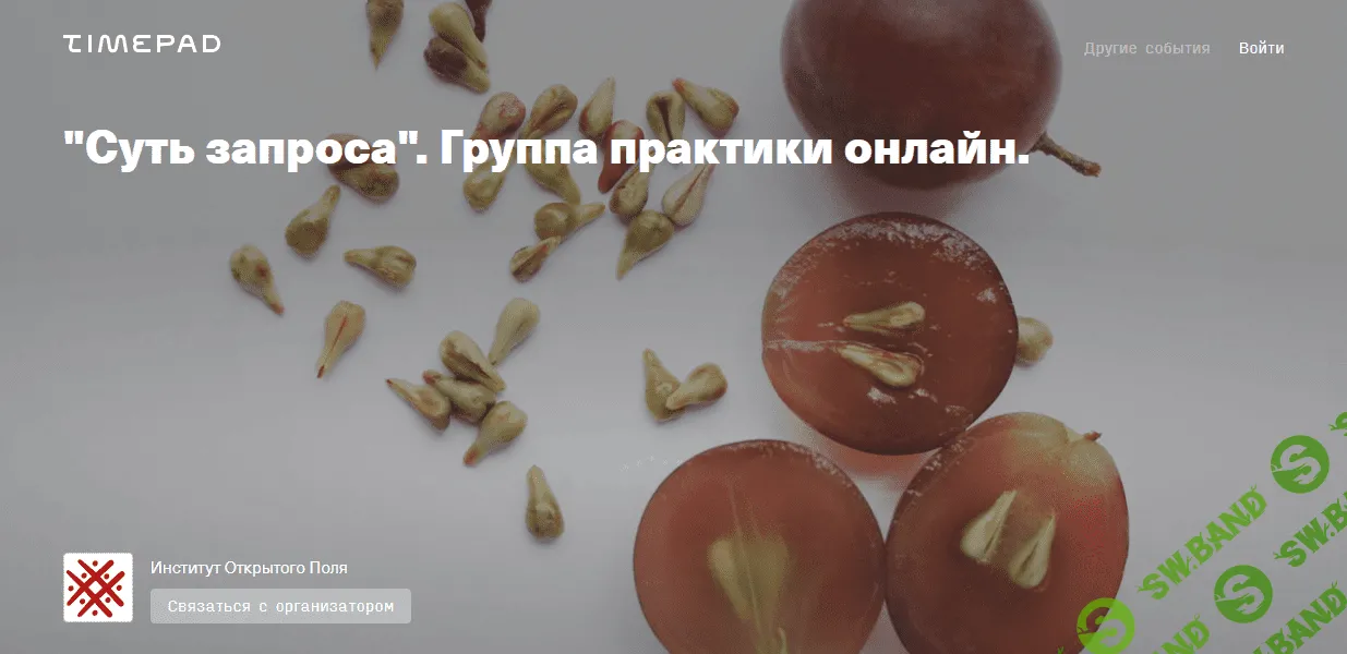 [Елена Веселаго] Суть запроса. Группа практики онлайн (2021)