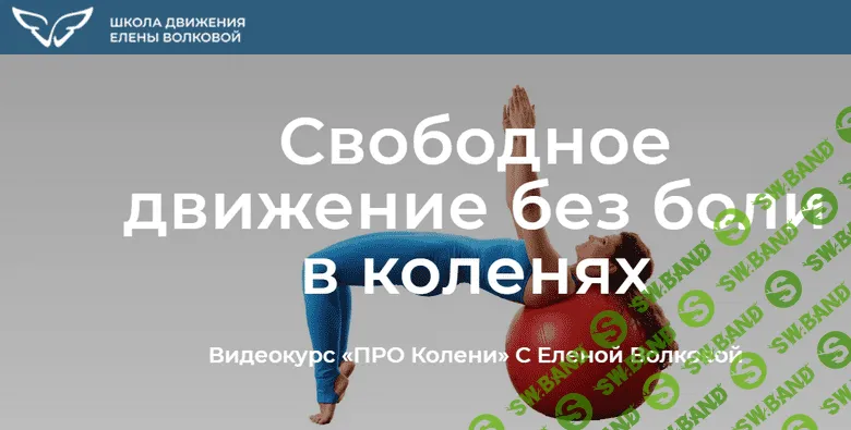 [Елена Волкова] Про колени. Свободное движение без боли в коленях (2022)
