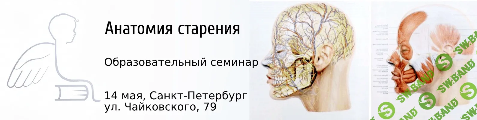 [Елена Земскова] Анатомия старения. Практические аспекты. Видеоуроки (2021)