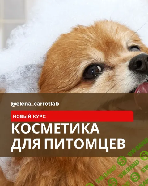 [Елена Золотухина] Косметика для питомцев (2024)