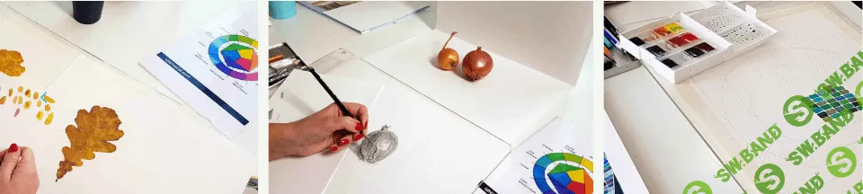 [Елизавета Залегина] Вводный курс для начинающих (2020)