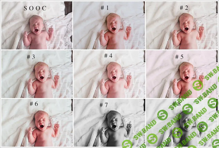 [Emily Lucarz] Emily Lucarz Photography-Lifestyle Presets (ACR)