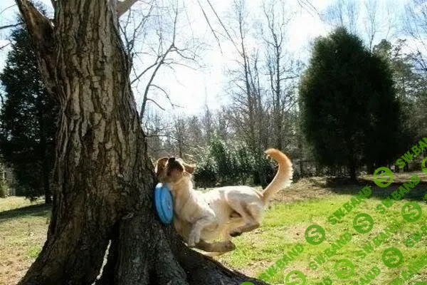 Epic fails: продакты Skyeng, Aviasales, Qlean поделились неудачными экспериментами в продукте