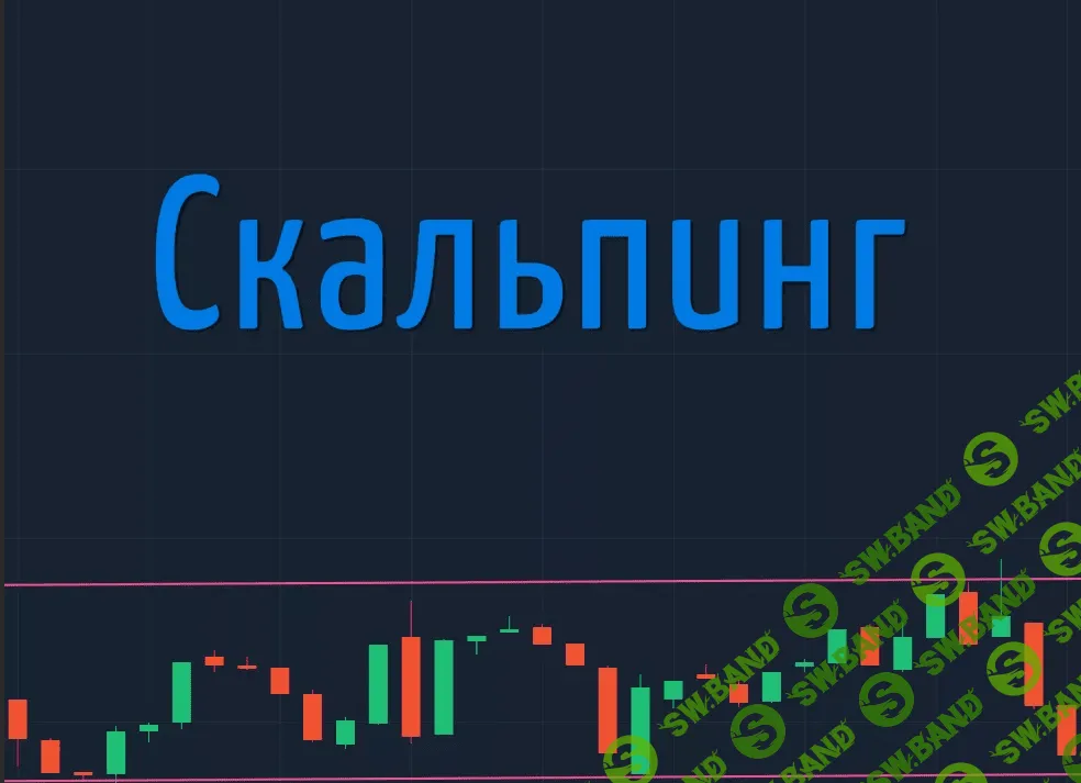[ERRICHEK] Обучение скальпингу (2021)