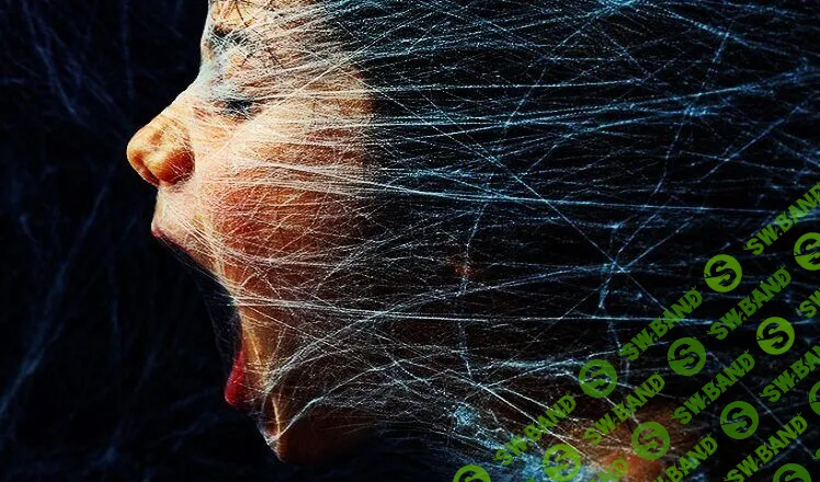 Если вы застряли