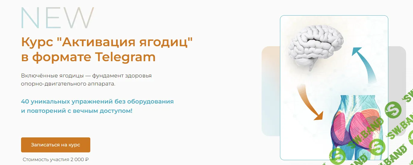 [Евгений Кадлубинский] Курс "Активация ягодиц" (2022)