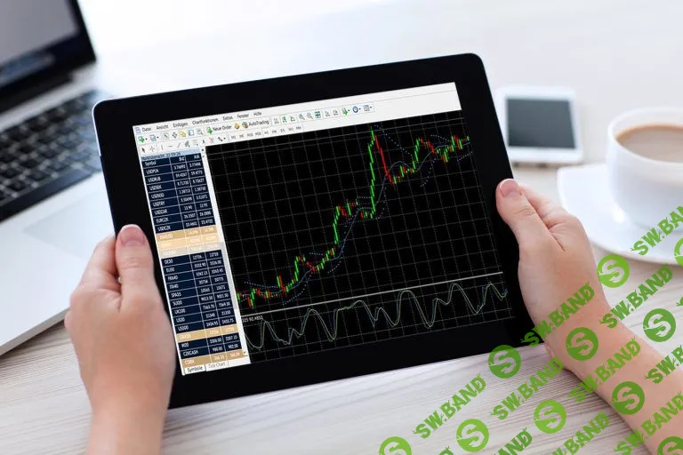 [Евгений Стриж] Трейдинг на полуавтомате 2.0 (2019)