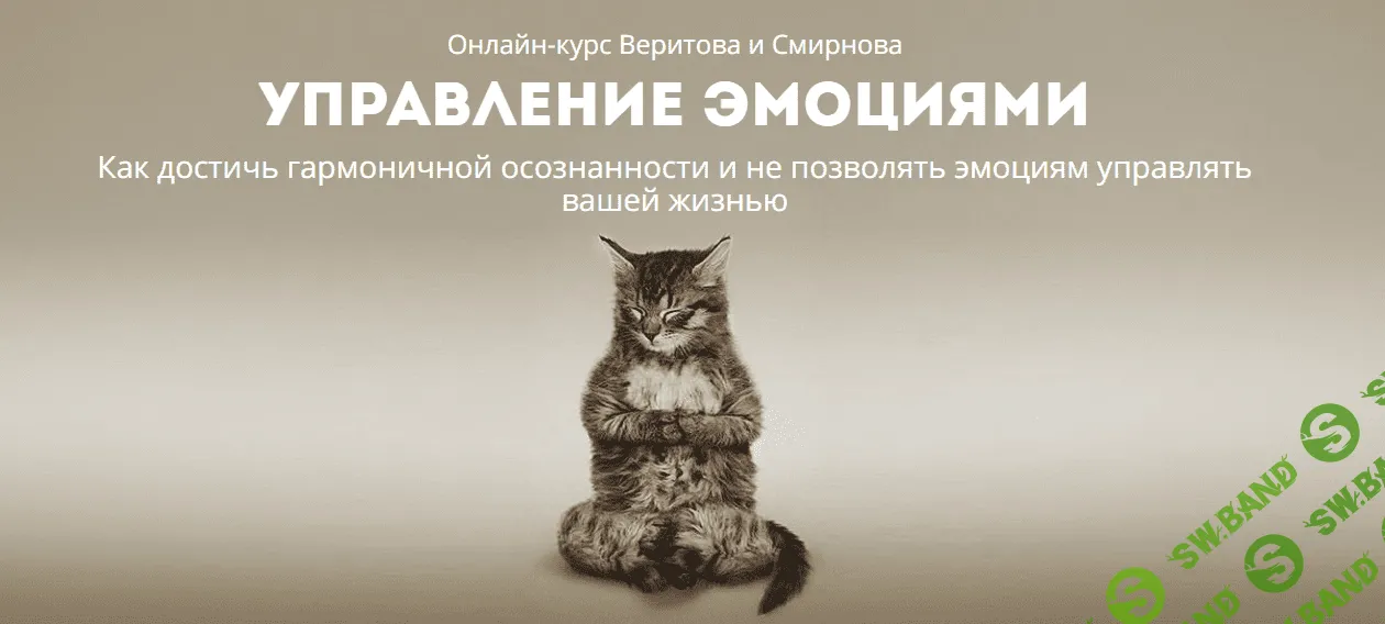 [Евгений Веритов, Сергей Смирнов] Управление эмоциями (2018)