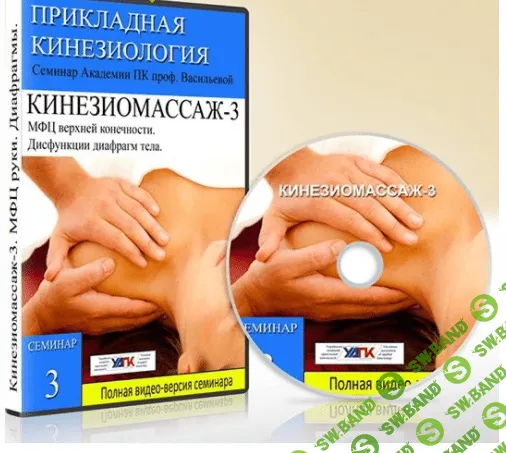 [Евгения Чижикова] Кинезиомассаж - 3. Мышечные цепи плечевого пояса