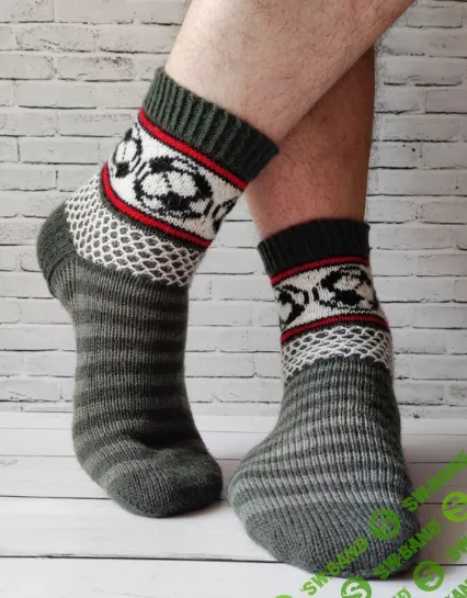 [Евгения Кутищева, Светлана Ёлкина] Носочки «Футбол Love» (2023)