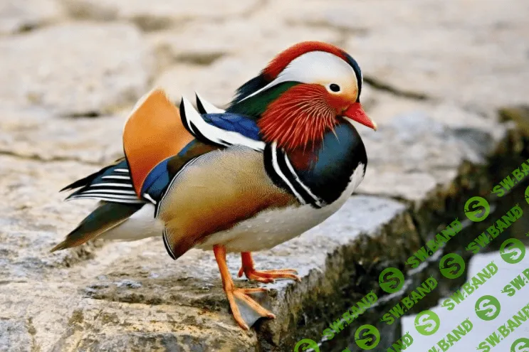 [Евгения Мельникова] Скетчи разными материалами (2020)