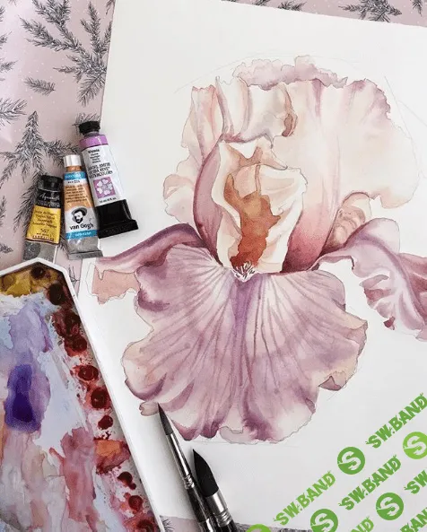 [Евгения Саламатина] Ботаническая иллюстрация. Ирис акварелью