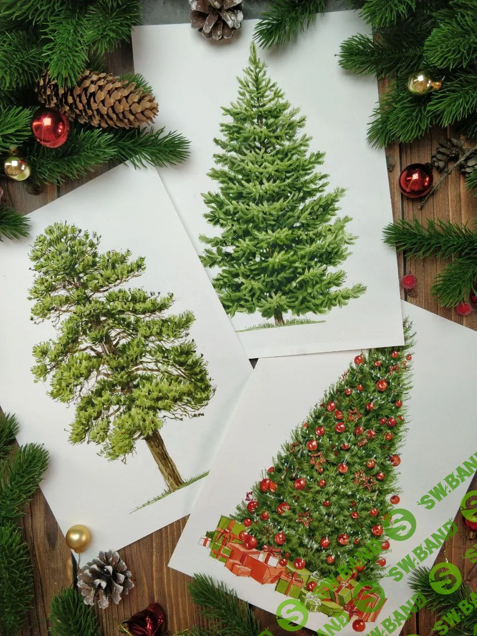 [Евгения Щеглова] Курс «Хвойный» (2023)