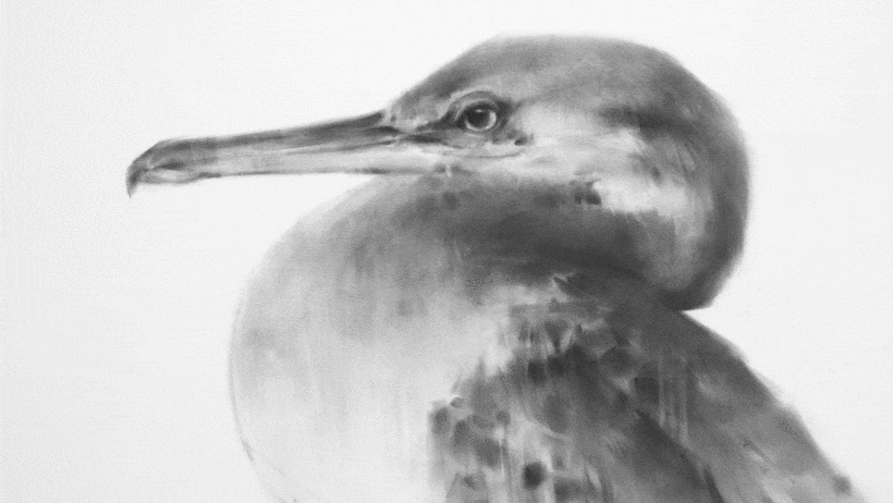 [Expressive Drawing with Charcoal, Domestika, Tianyin Wang] Выразительный рисунок углем (2023)