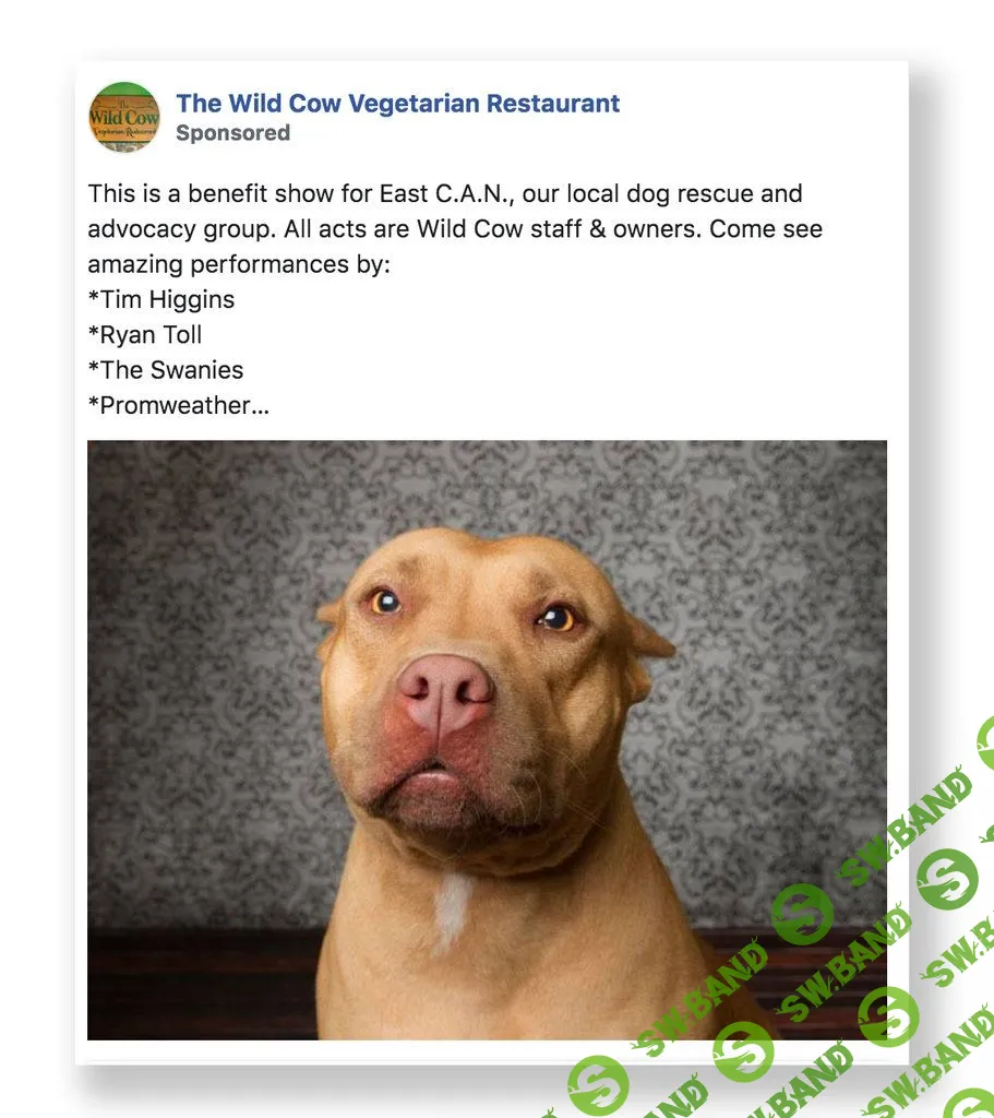 Facebook начал отклонять рекламу ресторанов и салонов красоты. Соцсеть считает ее политической