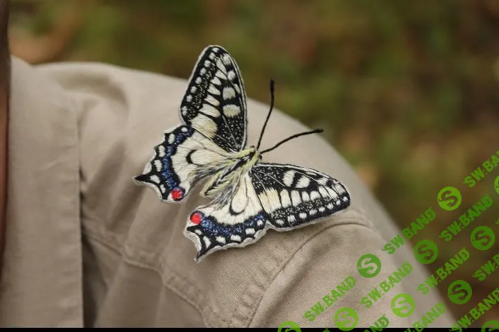 [Fairy Embroidery, Ирина Кириллова] Брошь «Махаон» (2023)