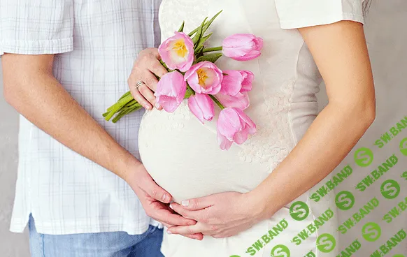 [Фалби Диана] Эликсир беременности