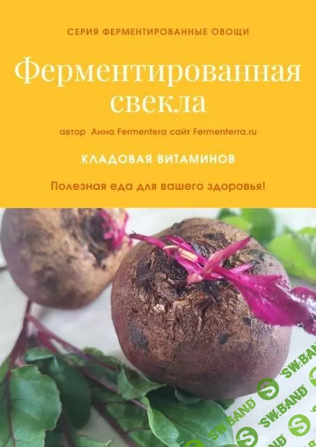 [Fermenterra] Ферментируем свеклу. Кладовая витаминов (2023)