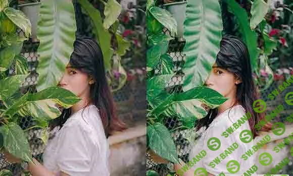 Film tone Lightroom preset