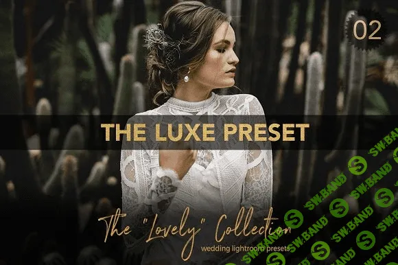 FineArt Wedding Pro Lightroom Preset