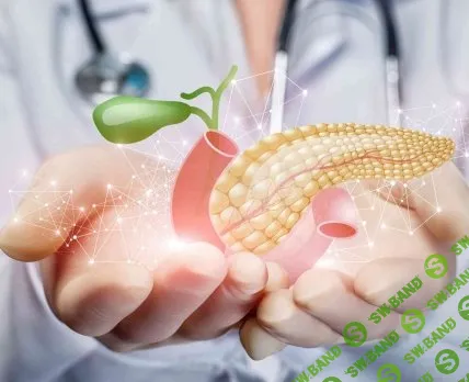 [ФитоВеда, Елена Лякова] Панкреатит помощь природными методами (2025)