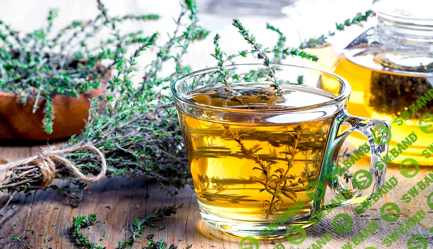 [Фитоведа] [Юлия Коршикова] Детоксикационная фитотерапия (2022)