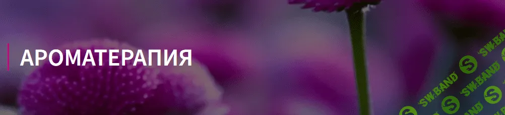 [ФитоВеда] Юлия Коршикова - Пакет курсов Аромотерапия (2019)