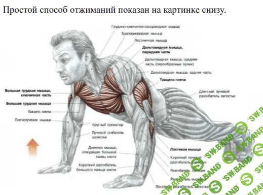 Физическое развитие с нуля ...