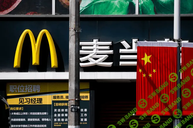 Фокус на отношениях: как стартапу создать глобальный бренд