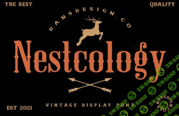 [Fontbundles] Nestcology Font (2021)
