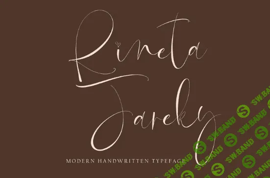 [Fontbundles] Rineta Fareky (2022)