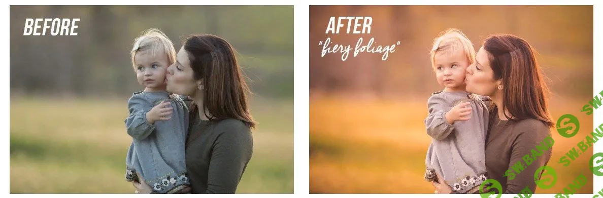 [Forever Fall] Colesclassroom Forever Fall