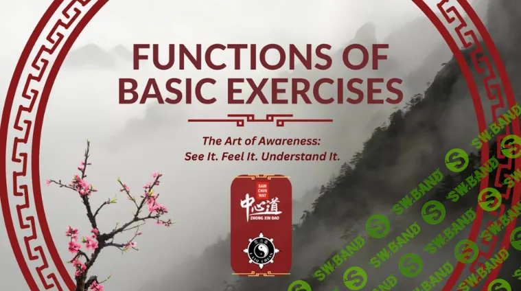 Функции базовых упражнений [Sam F.S. Chin]