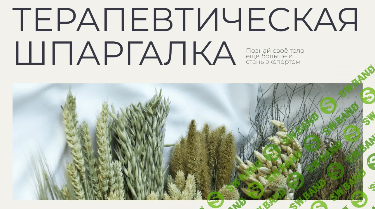 [Гаяне Тандилян] Терапевтическая шпаргалка (2023)