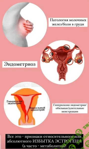 [Гарбузова Галa] Школа здоровья Эндометриоз (2023)