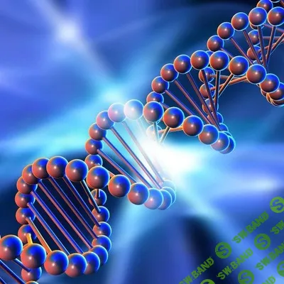 [genetics_4u] Биохимия мужского здоровья (2025)