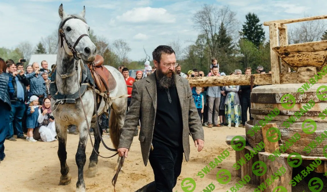Герман Стерлигов предложил «вырубить электричество на всей планете»
