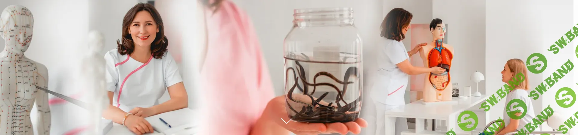 Гирудотерапия в кардиологии: сердечная недостаточность, стенокардия, кардиалгии [Гирудоэксперт] [Ксения Ангерова]