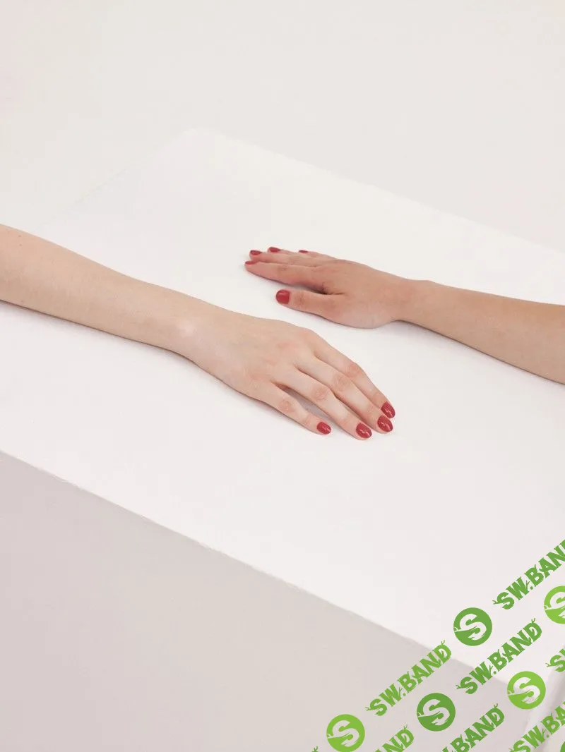 Год спустя: история Shelly или зачем отказываться от бурного роста в пользу допиливания продукта