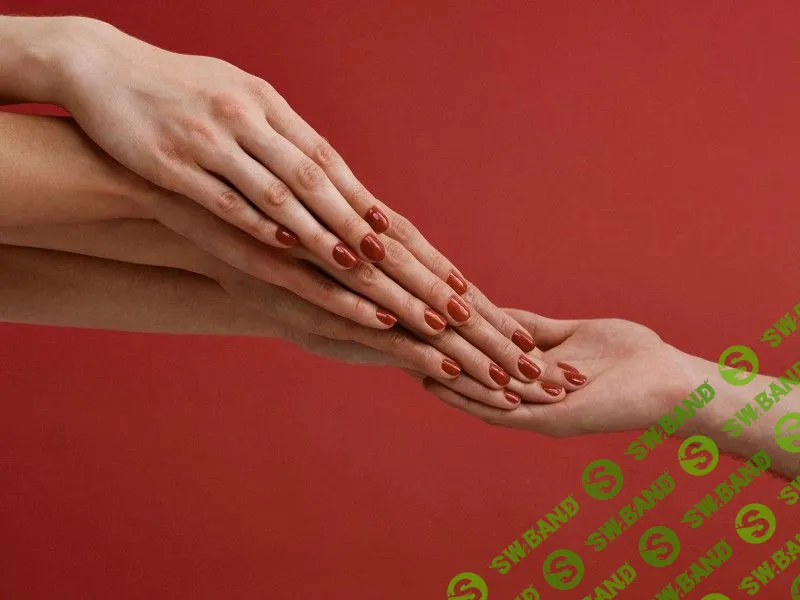 Год спустя: история Shelly или зачем отказываться от бурного роста в пользу допиливания продукта