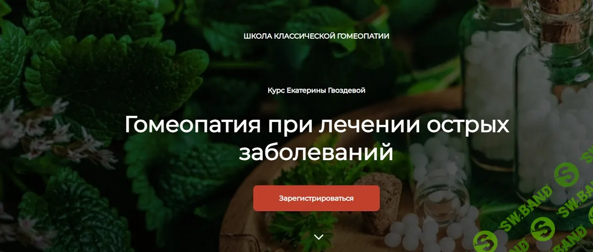 Гомеопатия при лечении острых заболеваний [Школа классической гомеопатии] [Екатерина Гвоздева]