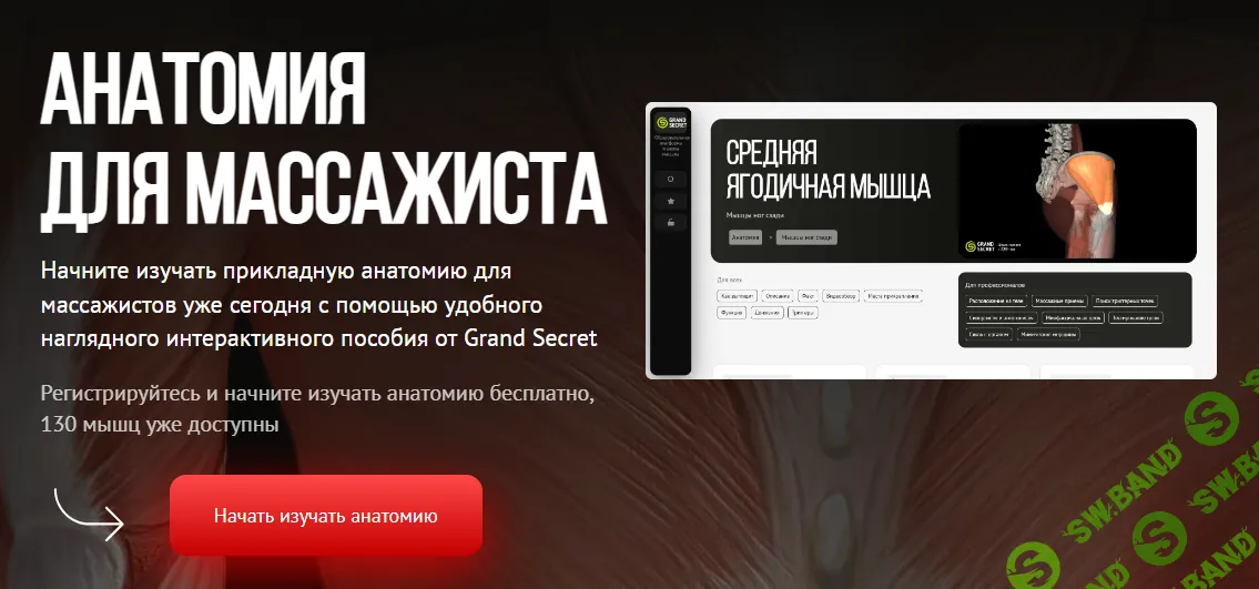 [Grand Secret] Анатомия для массажиста (2024)