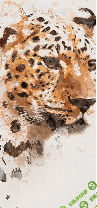 [Graphicriver] Watercolor Creation Kit (2020)